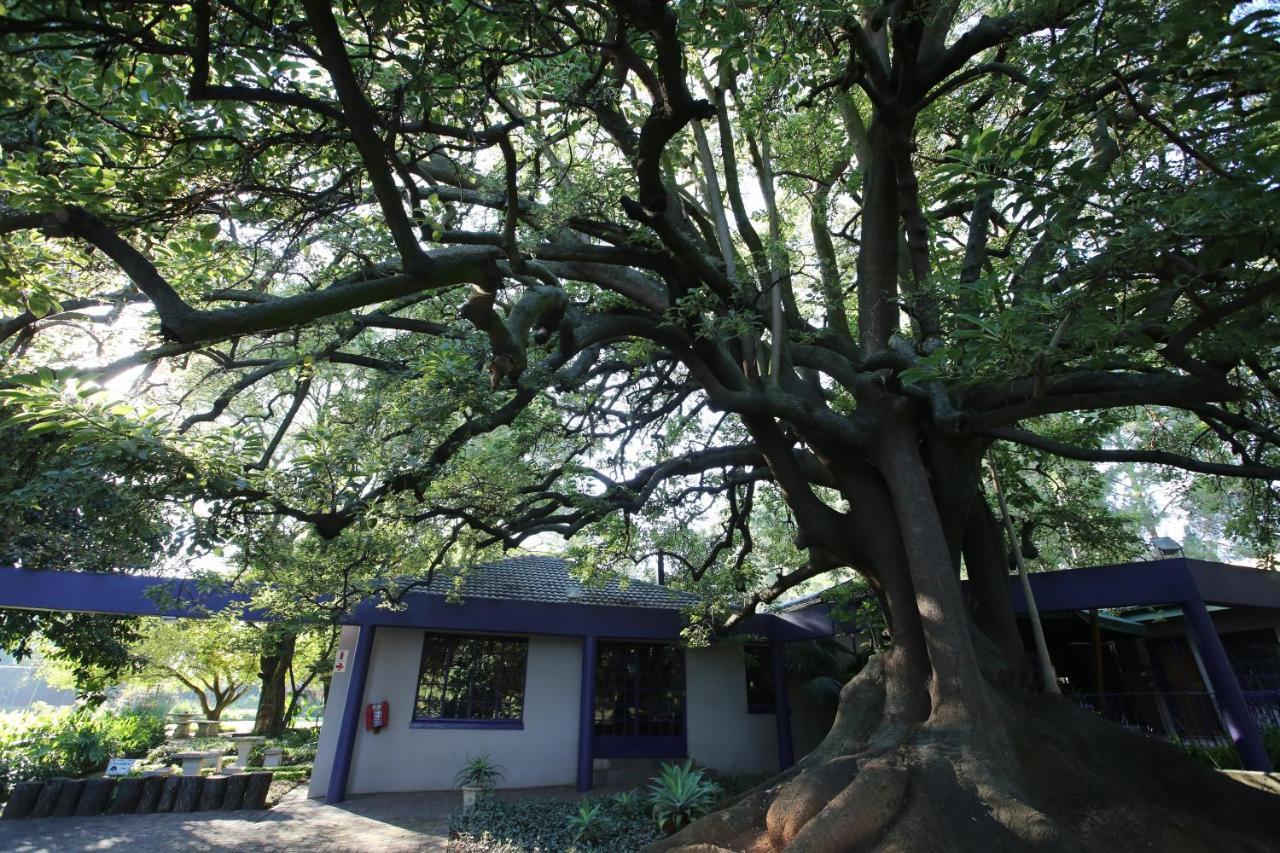 Big Tree Midrand Ξενοδοχείο Εξωτερικό φωτογραφία